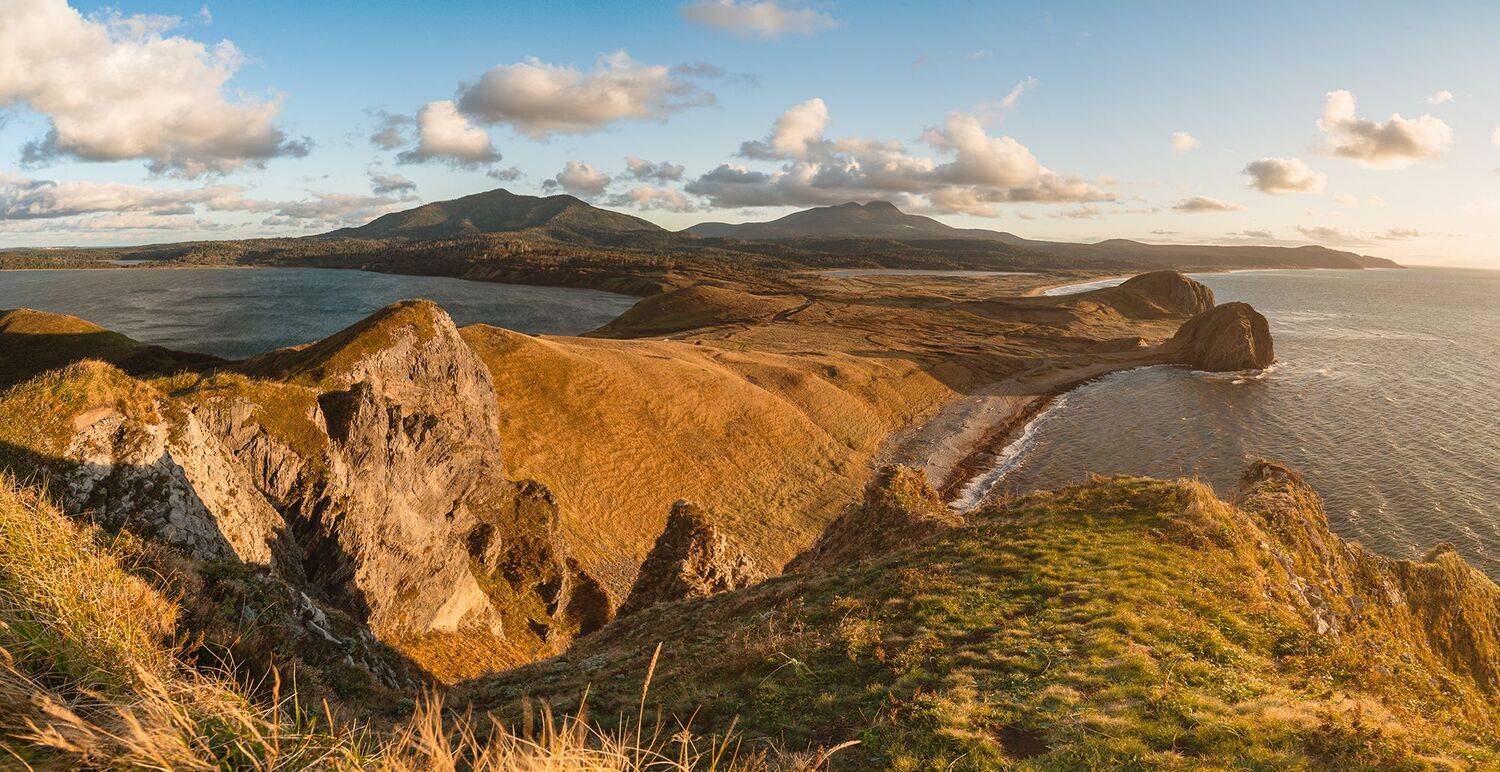 , Лариса Дука