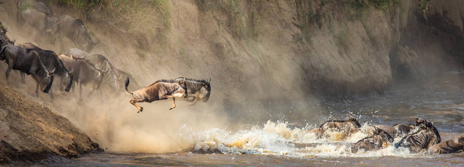 , Гудков Андрей