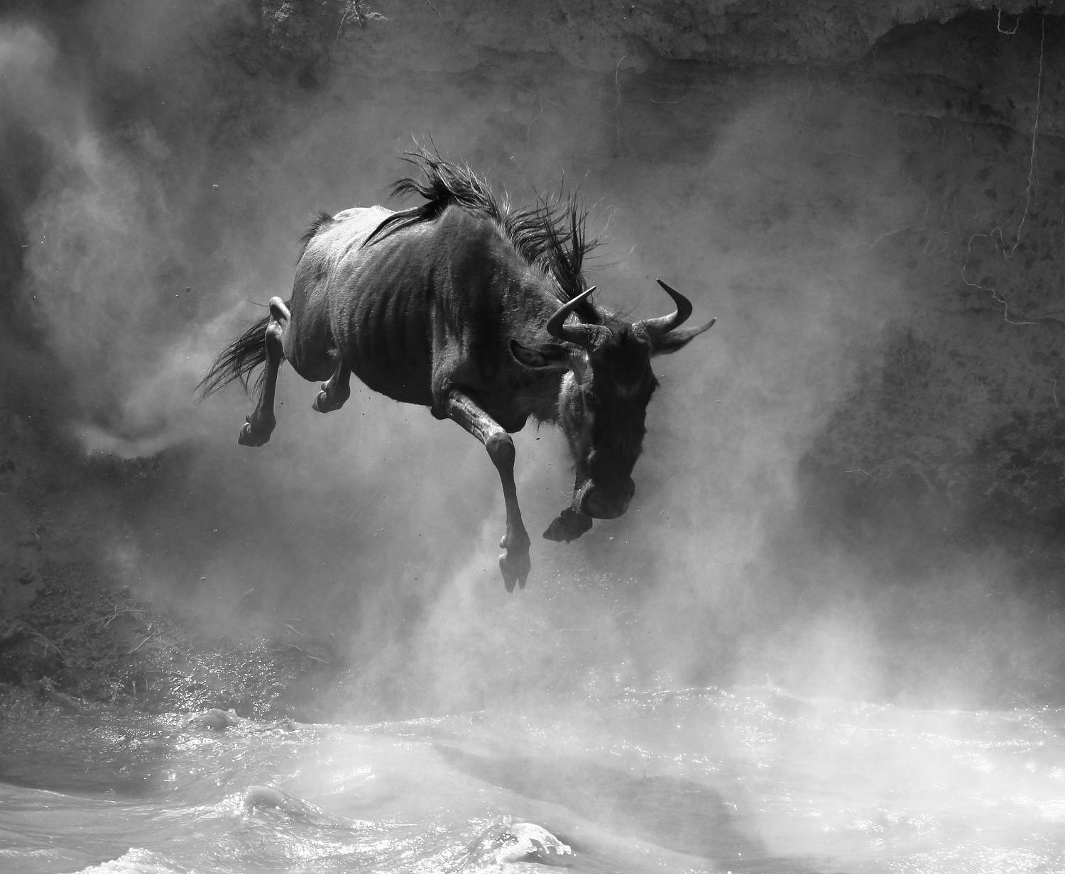 , Гудков Андрей