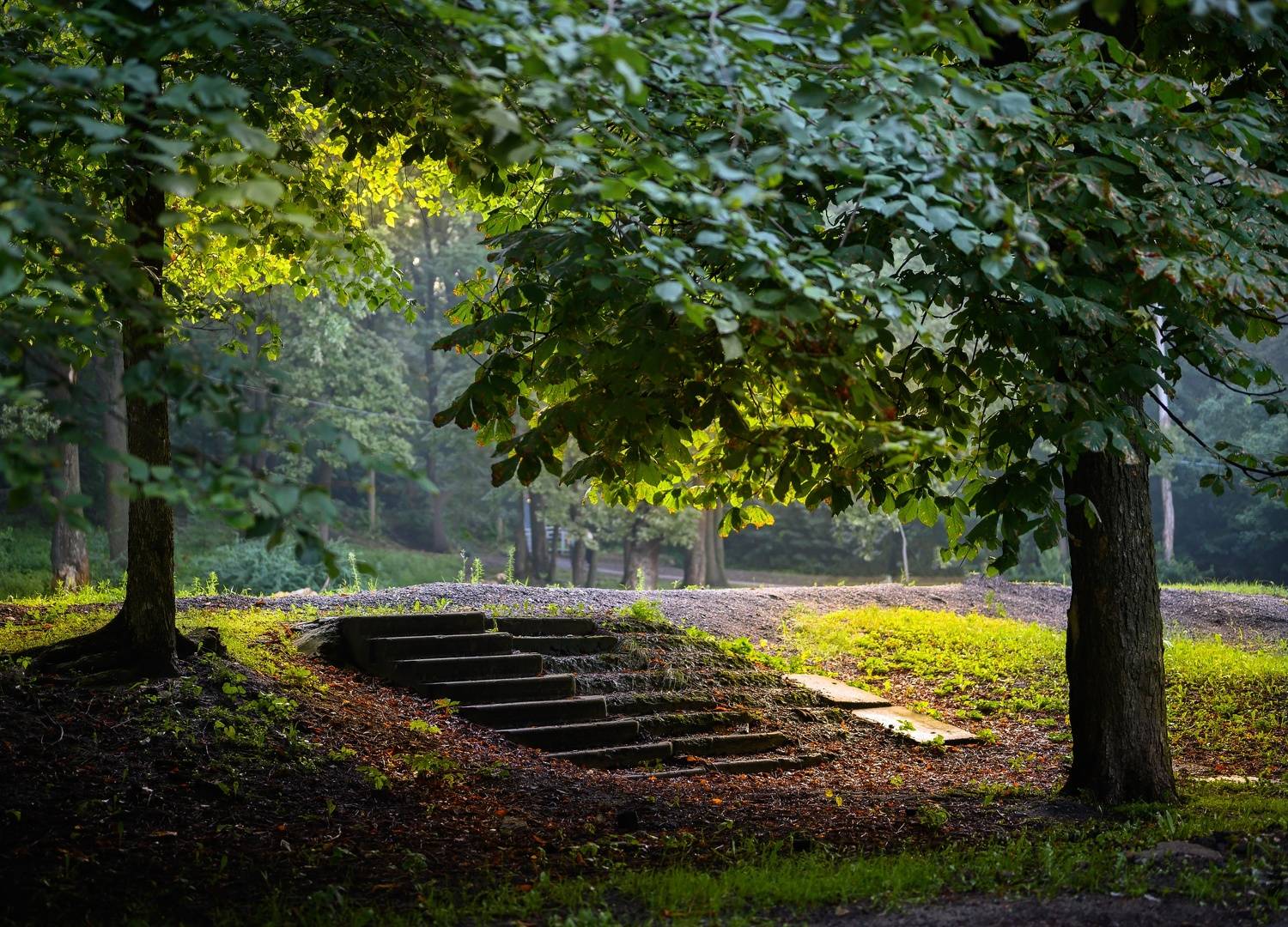 , Караваев Антон