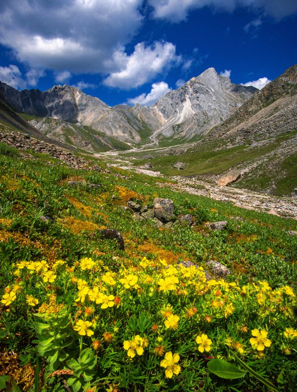 Вид на Саянский Маттерхорн фото превью