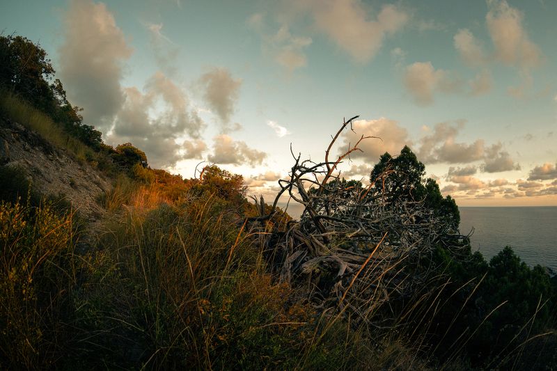 Морская нега фото превью