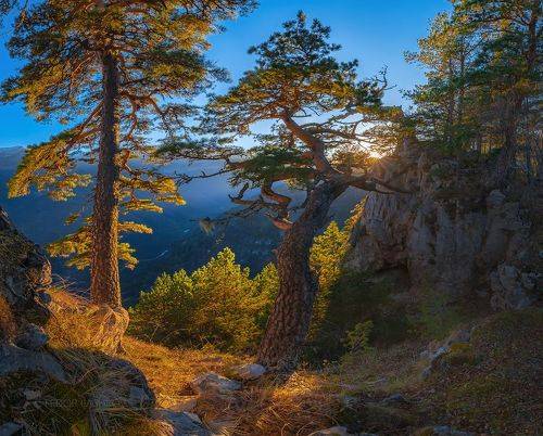 Из серии «Место силы»