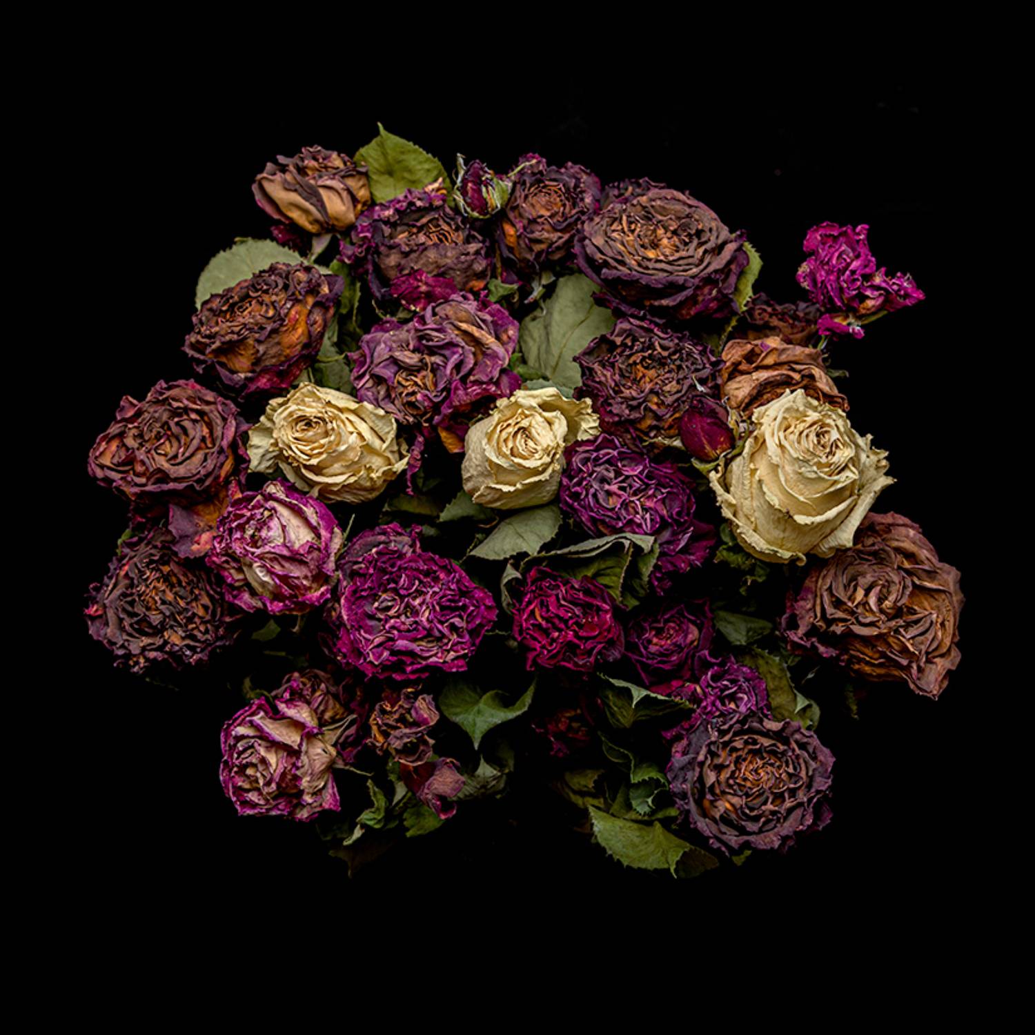 ,  Светослав Радков