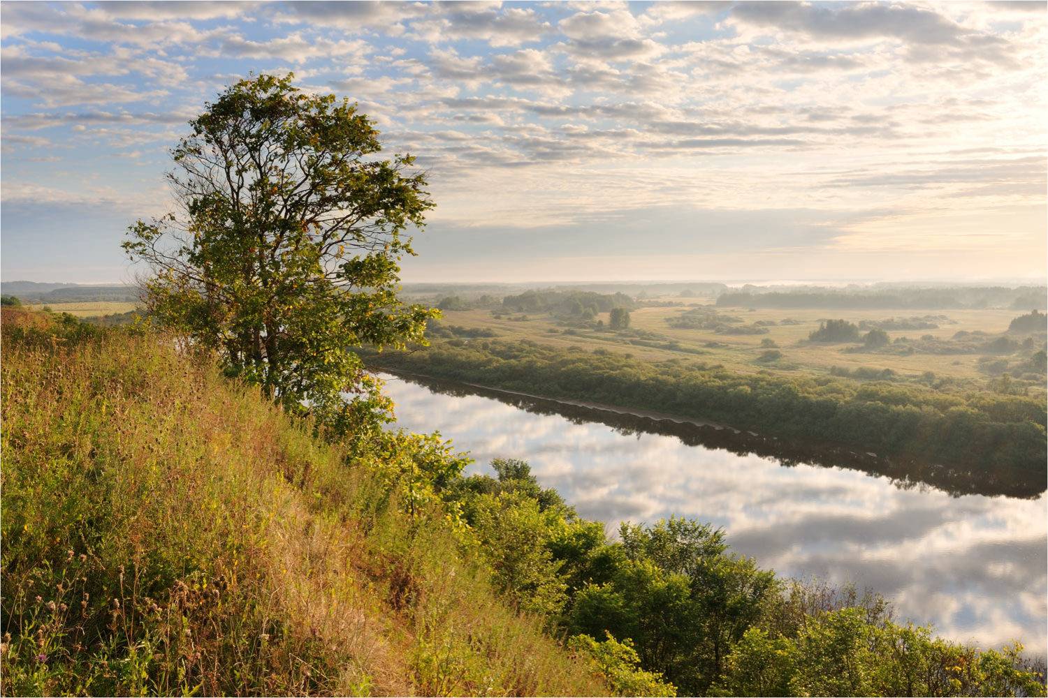 , Анатолий Гулин