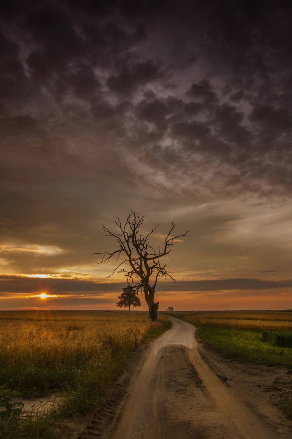 Landscape, Nature, Travel, Field, Cloud, Meadow, Rural, Road, EOS7D, Ndfilter, Sunrise, clouds, Cyfkafoto, tree, Poland, idyllic, village, fields, landscapes, Damian Cyfka