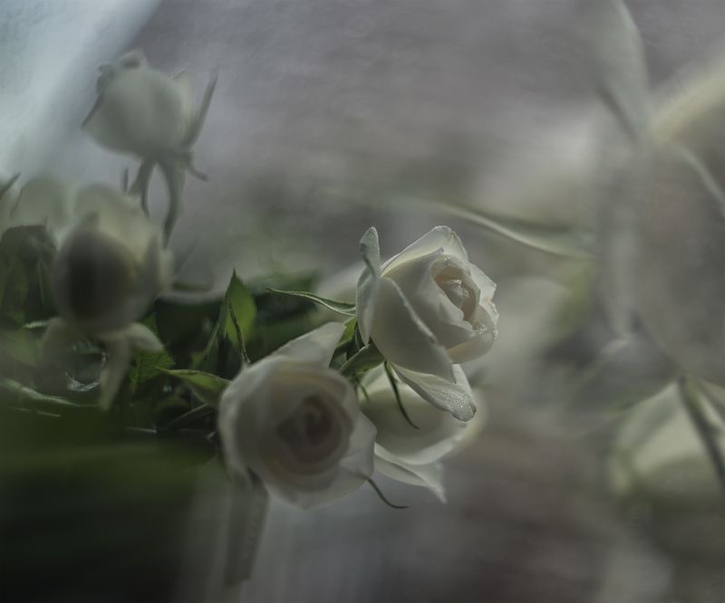 Воскресное дождливое утро фото превью