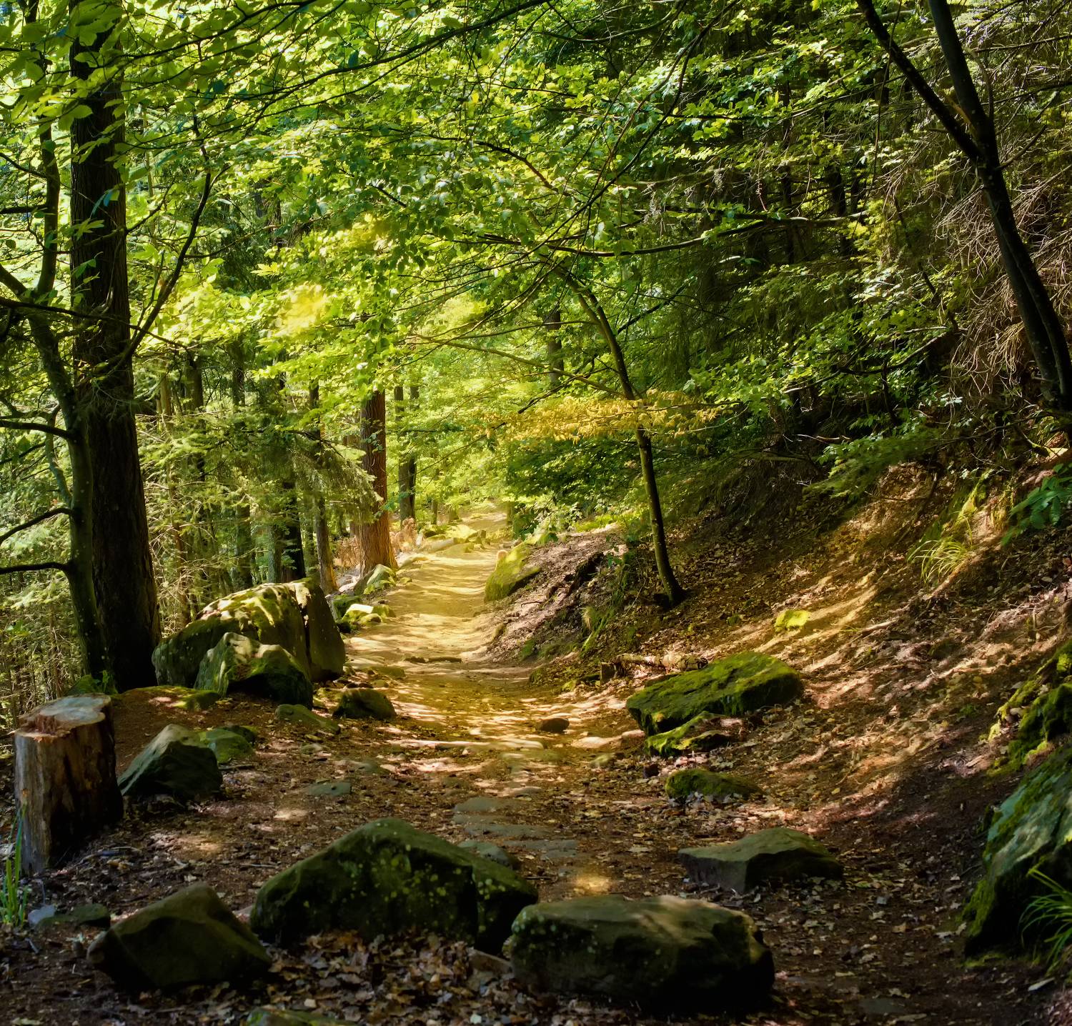 , Сигидова Ирина