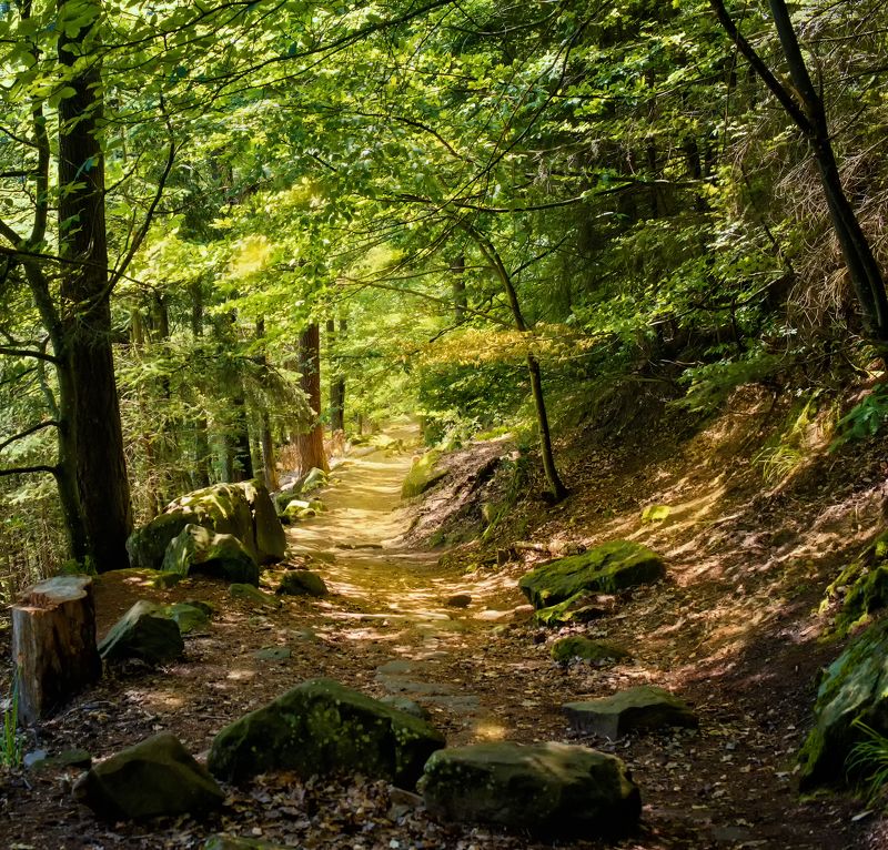 Где то во Франции в горах фото превью