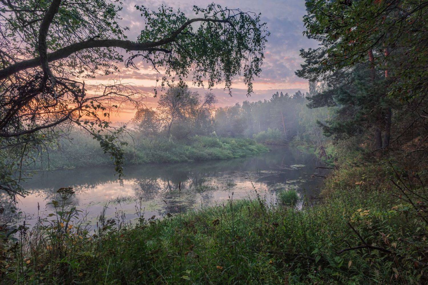 , Евгений Ерохин