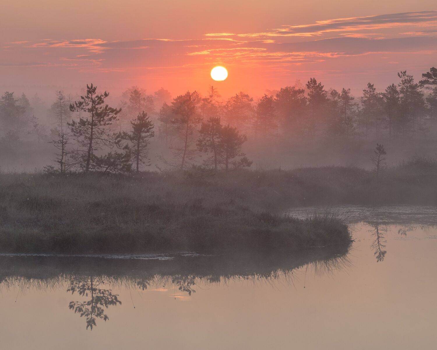 #harjumaa, #kõnnusuursoo, #eesti, #estonia, #estoniabogs, #eestirabad, #nature, #loodus, #eestiloodus, #ilusadeestipaigad, #visitestonia, #burningsky, #terviserajad, #hikingtrails, #hikingtrail, #sunrise, #sunrisephotography, #sunrisephoto, #sunrise_suns, Nikolai Mordan