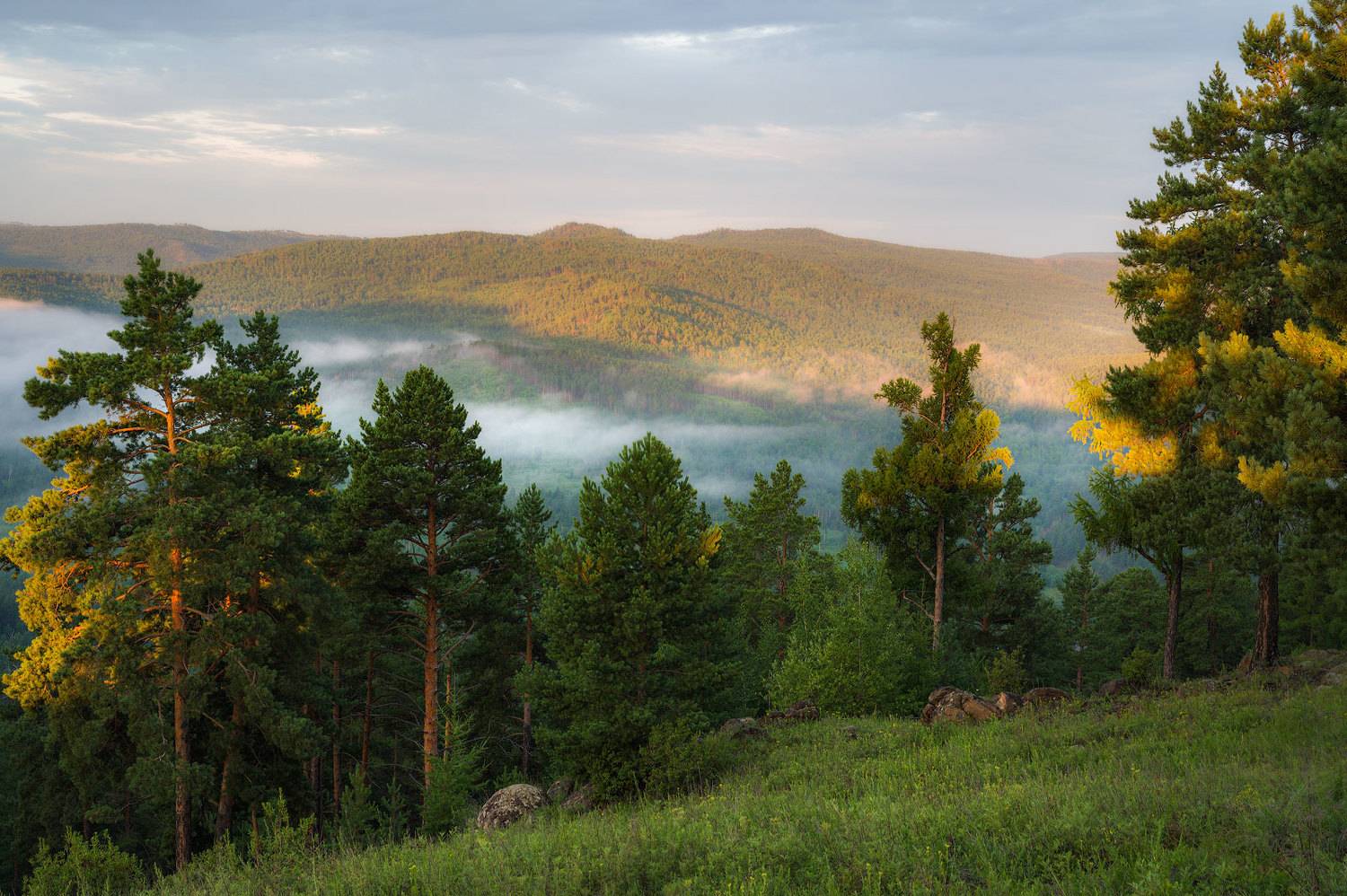 , Сергей Брагин