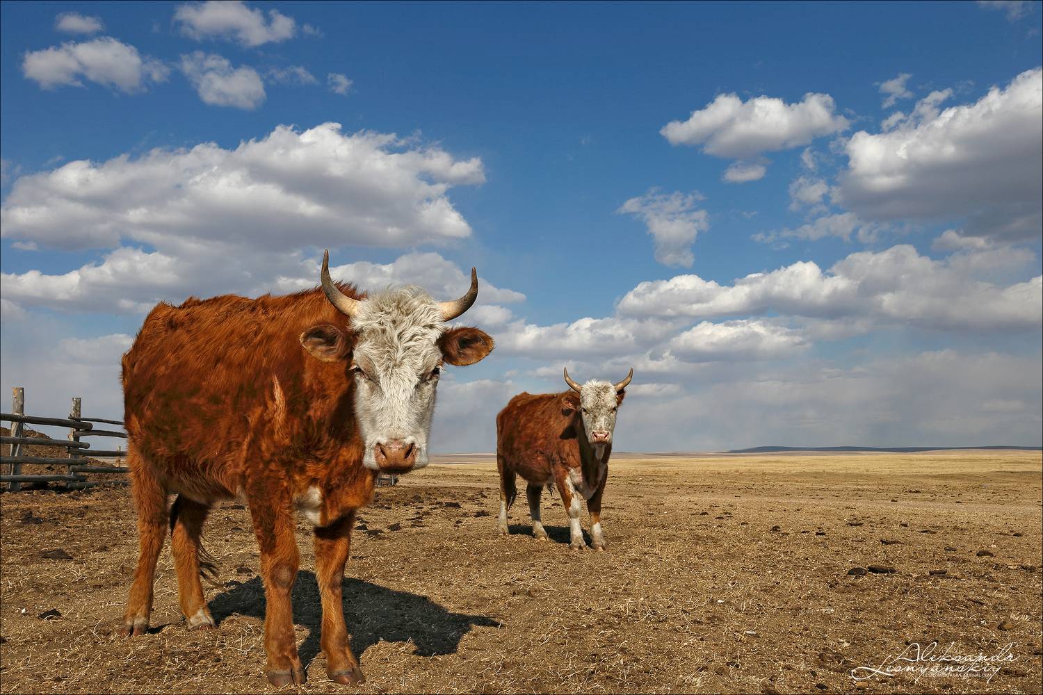 эй, вы типа фотографы, не надоело вам еще телок снимать?, Александр Леснянский