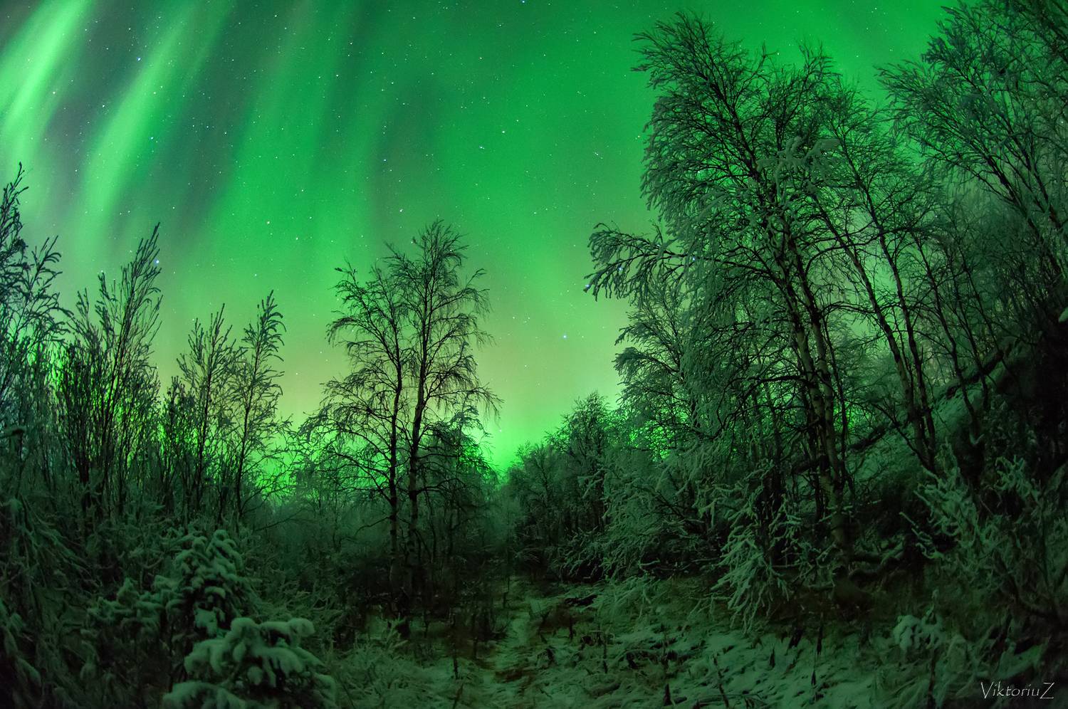 северное сияние, полярное сияние, заполярье, aurora borealis, polar lights, Куликов Виктор