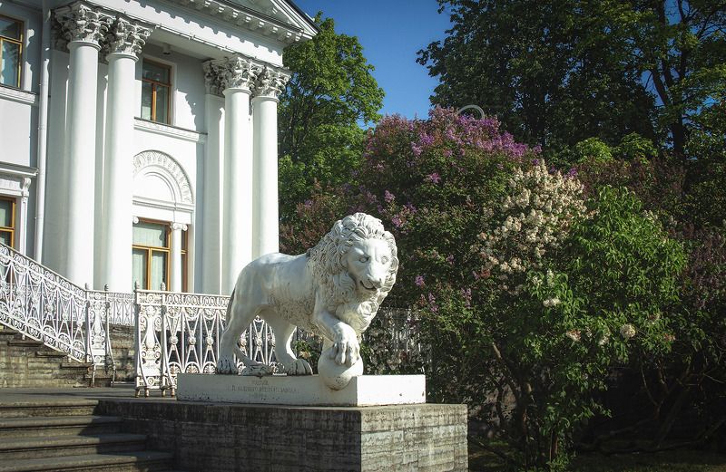 У Елагинского дворца фото превью