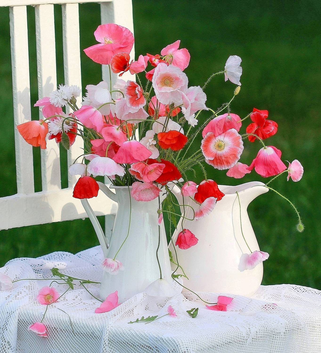 , Наталья Казанцева