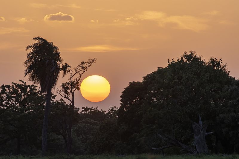 Sunset in Guanacaste фото превью