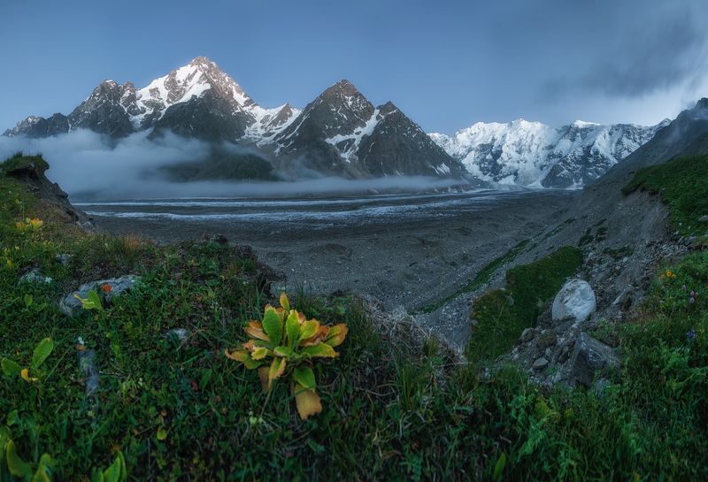 центральный кавказ, кабардино-балкария, безенгийский ледник, дыхтау, безенгийская стена, вечер, июль Вечер на Безенгийском леднике фото превью