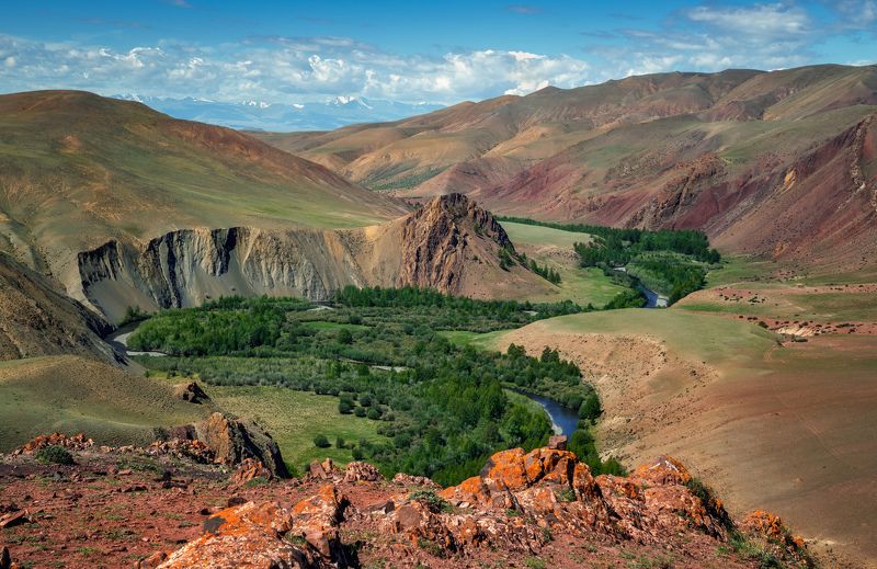 Летний бархат и первый снег фото превью