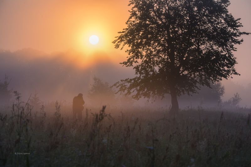 Первое утро августа фото превью