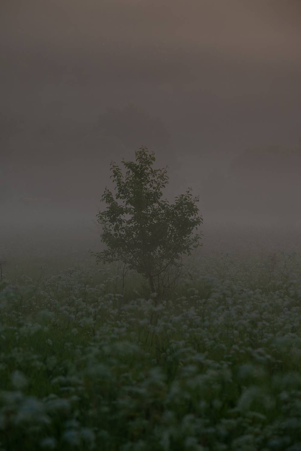 , Стрельцов Виталий