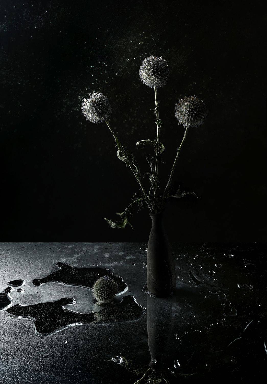 Репейники, космос, зеркало, лужи, Наталья Туева