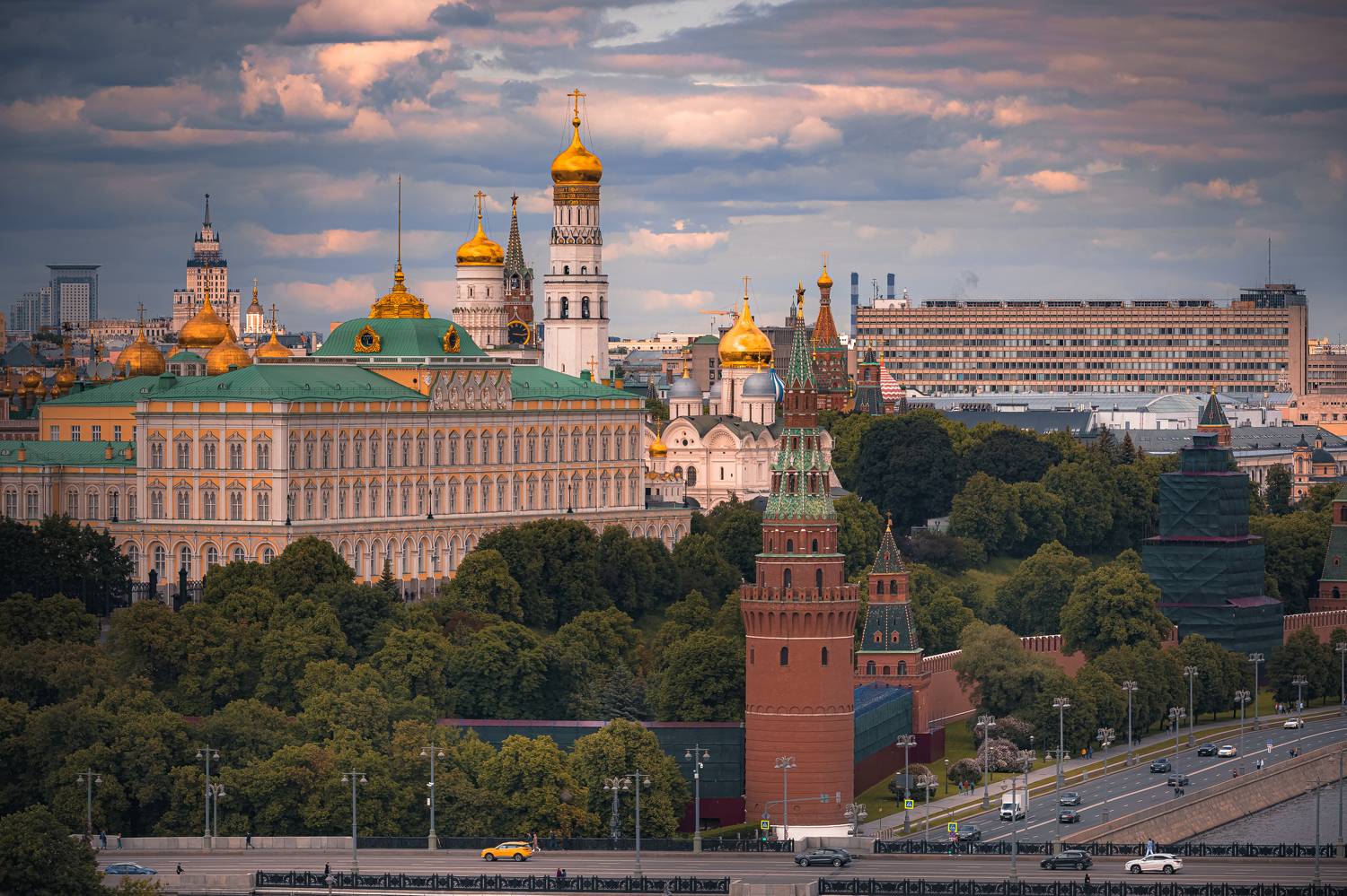 , Трепольский Дмитрий