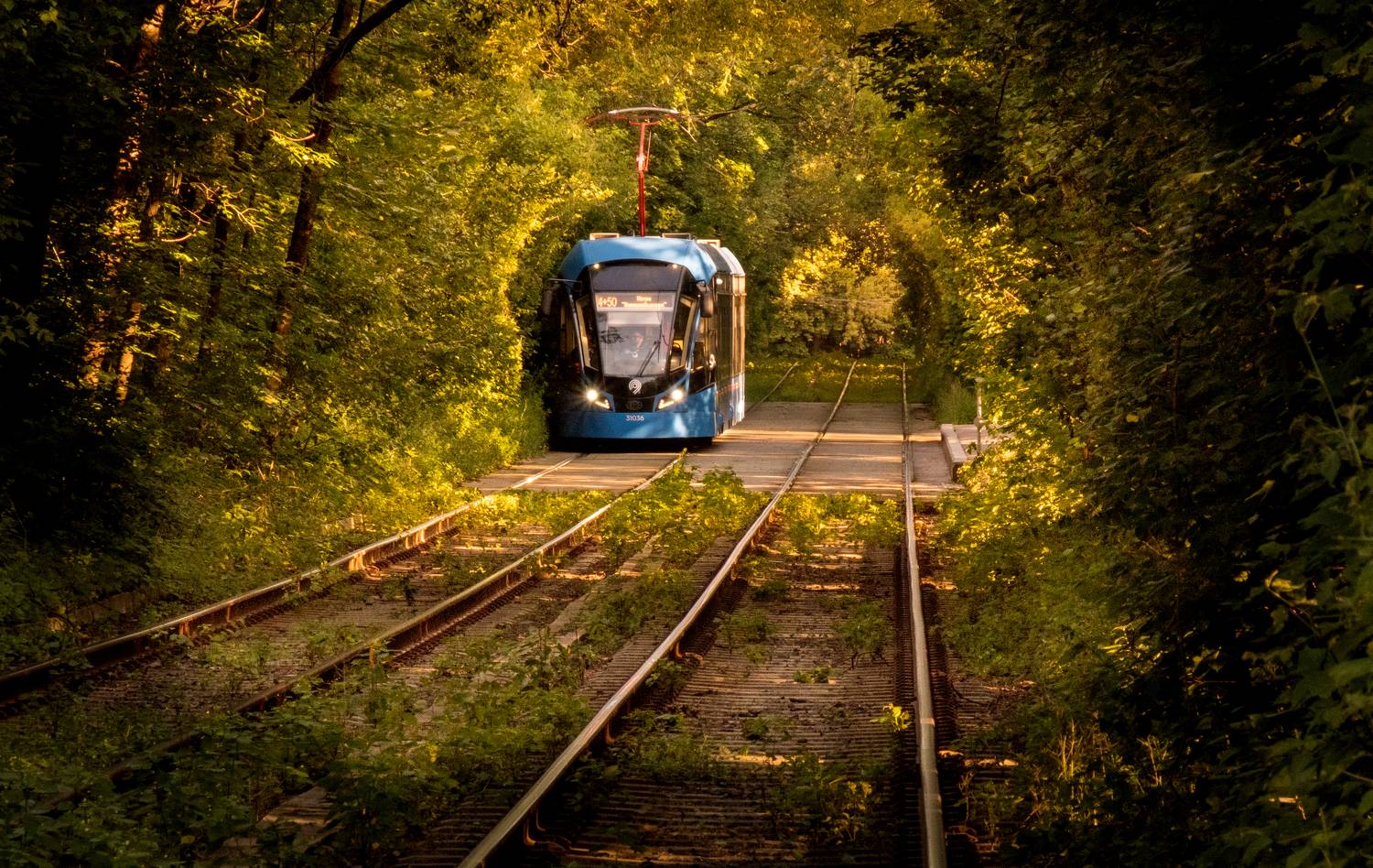 август, сокольники, трамвай, august, sokolniki, tram, нд, город москва, моя москва, Демкина Надежда