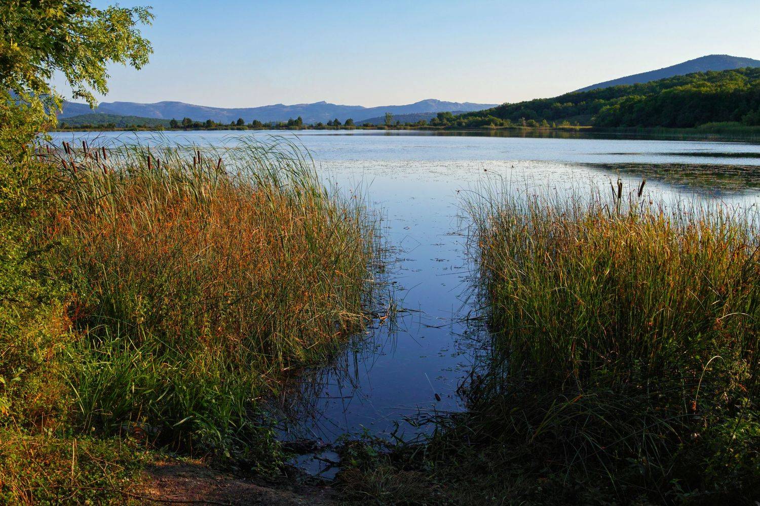 sigma sd quattro . crimea, Дмитрий Цыпляев