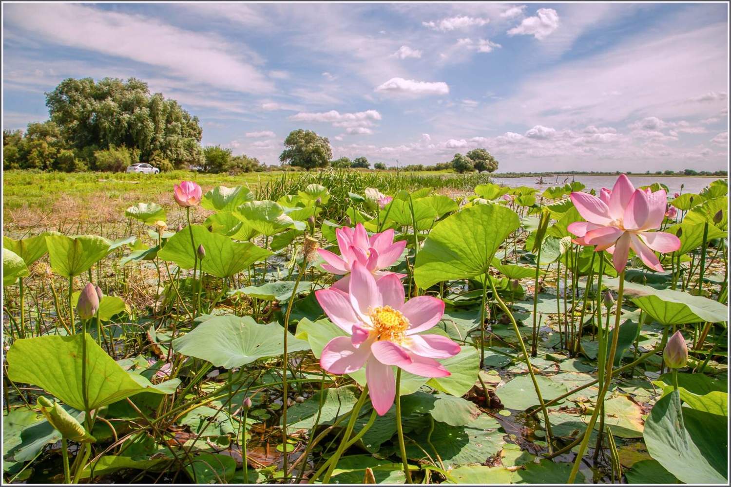 у села  камышово, Сергей цыбизов