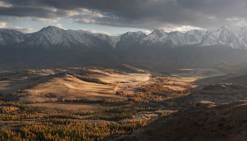 курайская степь, курай, горный алтай, чуя, золотая осень, вечер, закатный свет Золотой Курай фото превью