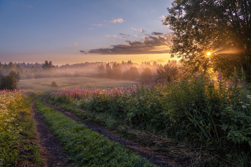валдай лето утро природа рассвет Июльское утро на Валдае фото превью