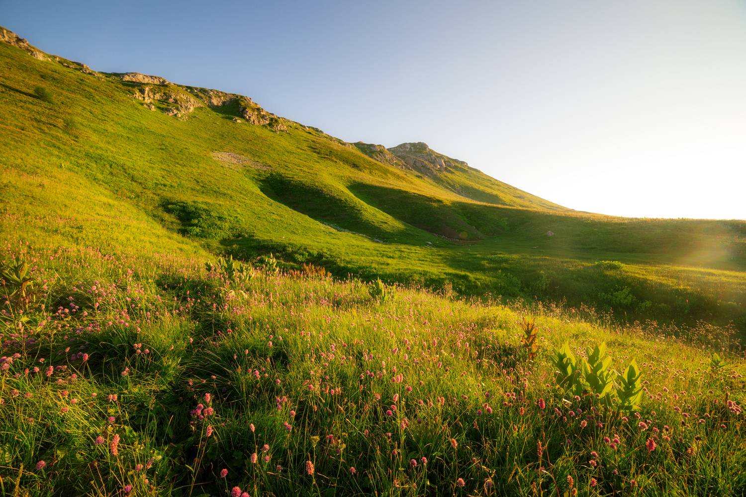 , Сергей Тихомиров