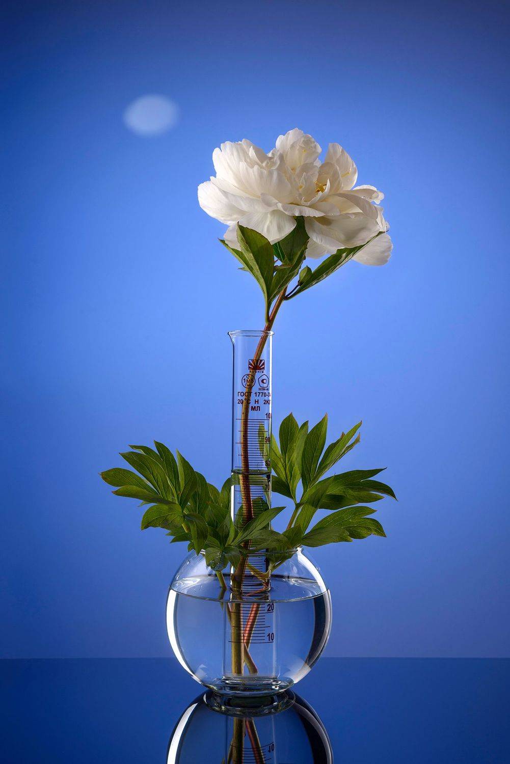 , Сизов Кирилл