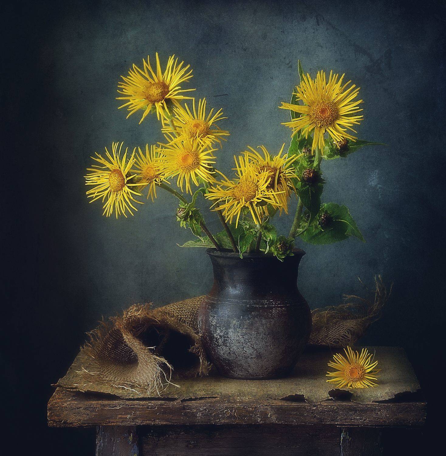 натюрморт,цветы,лето,букет,девясил, Наталия К