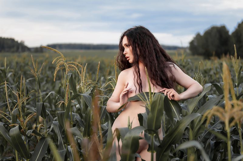 В кукурузе фото превью