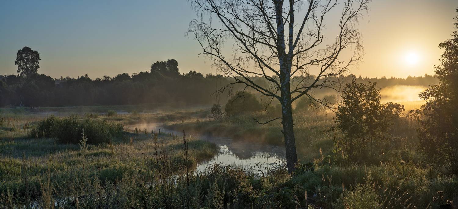 утро, туман, восход, Зверев Олег