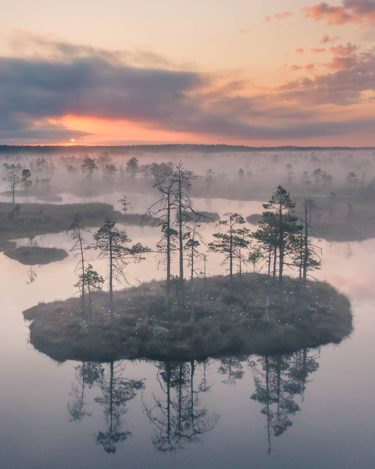#estonia, #estoniabogs, #nature_of_estonia, #naturelovers, #sunrise_sunset_photogroup, #sunriseoftheday, #foggymorning, #foggy, #bog, #k&otilde;nnusuursoo, #visitharju, #visitestonia, #earlymorningwalk, #morningmotivation, #sunrise_sunsets, #dji, #drone, #aerial, Nikolai Mordan