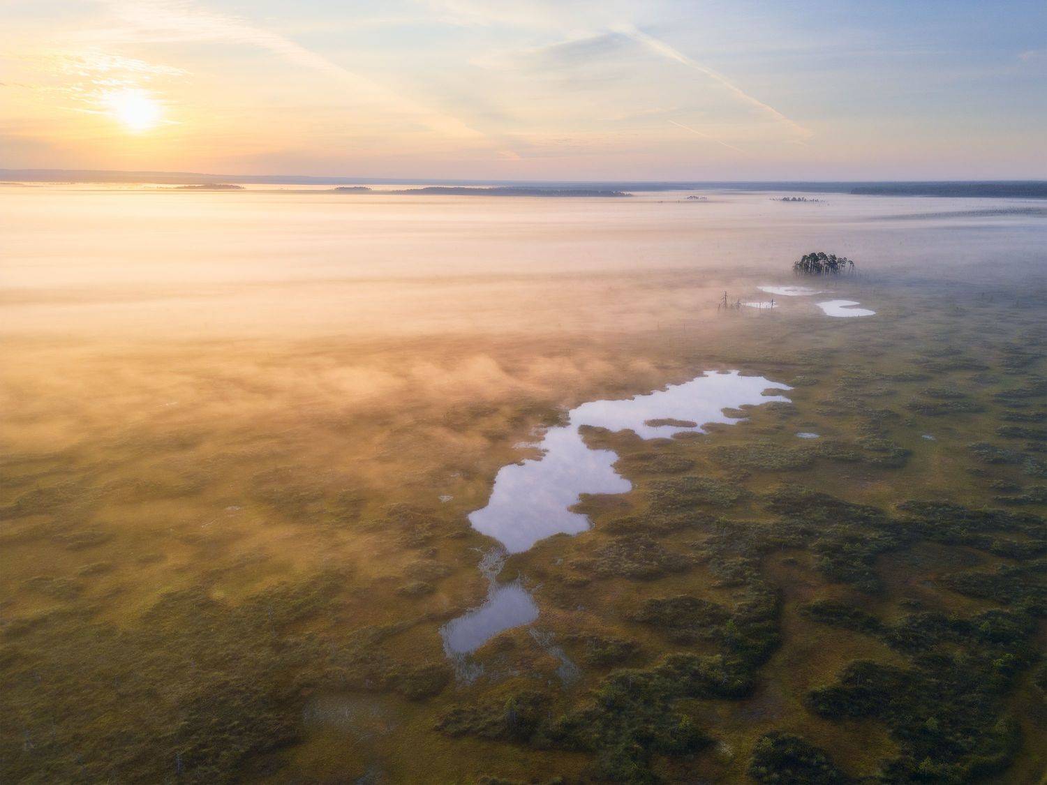 пейзаж, рассвет, сосны, туман, болото, север, landscape, sunrise, swamp, north, pines, fog, Чаланов Иван