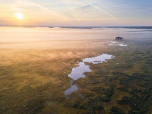 Затерянный мир Кадамских болот