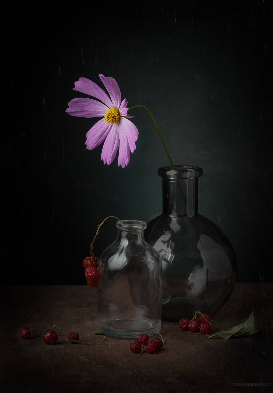 , Чернин Дмитрий