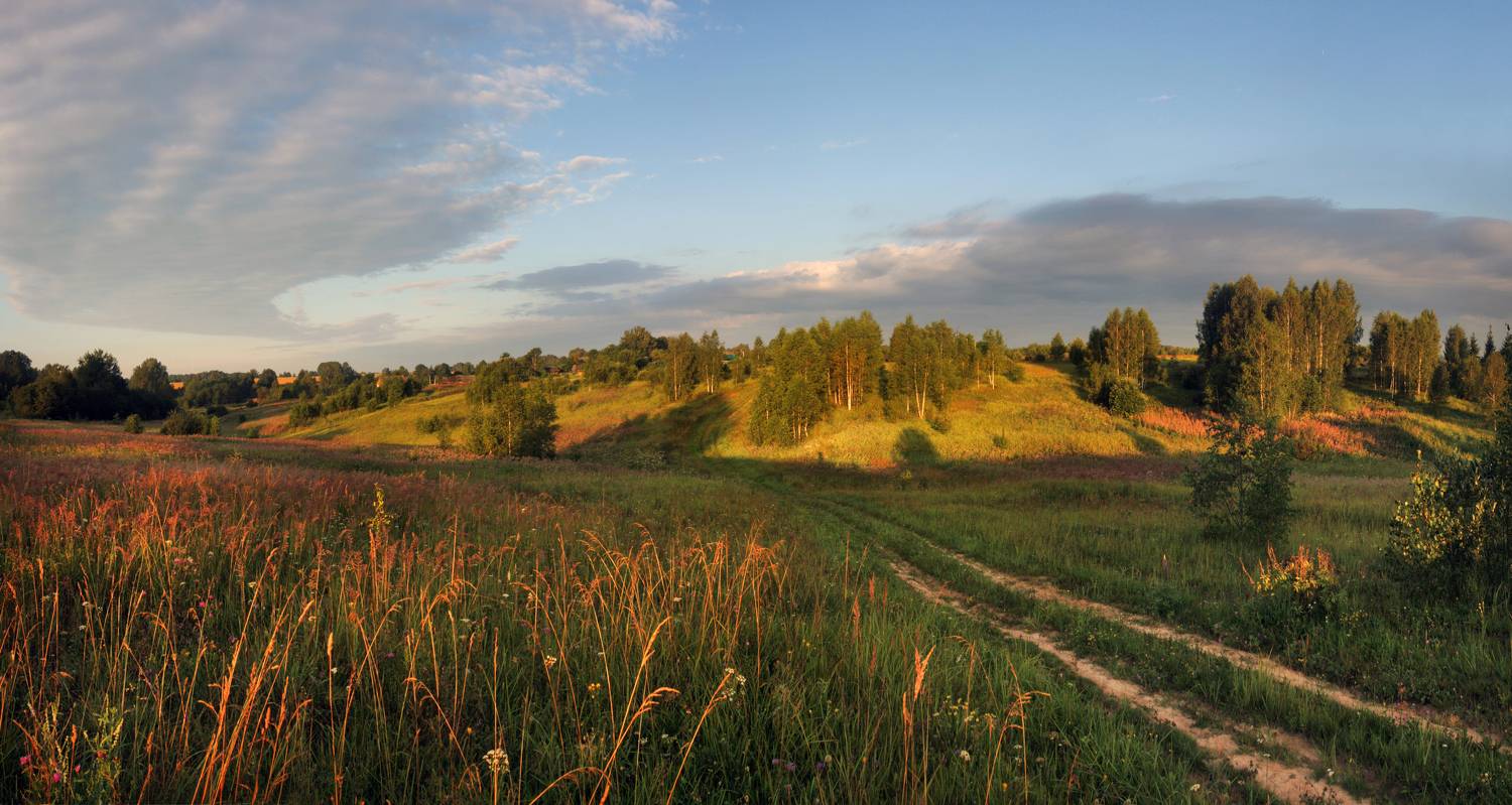 утро, село, дорога, Александр Свистков