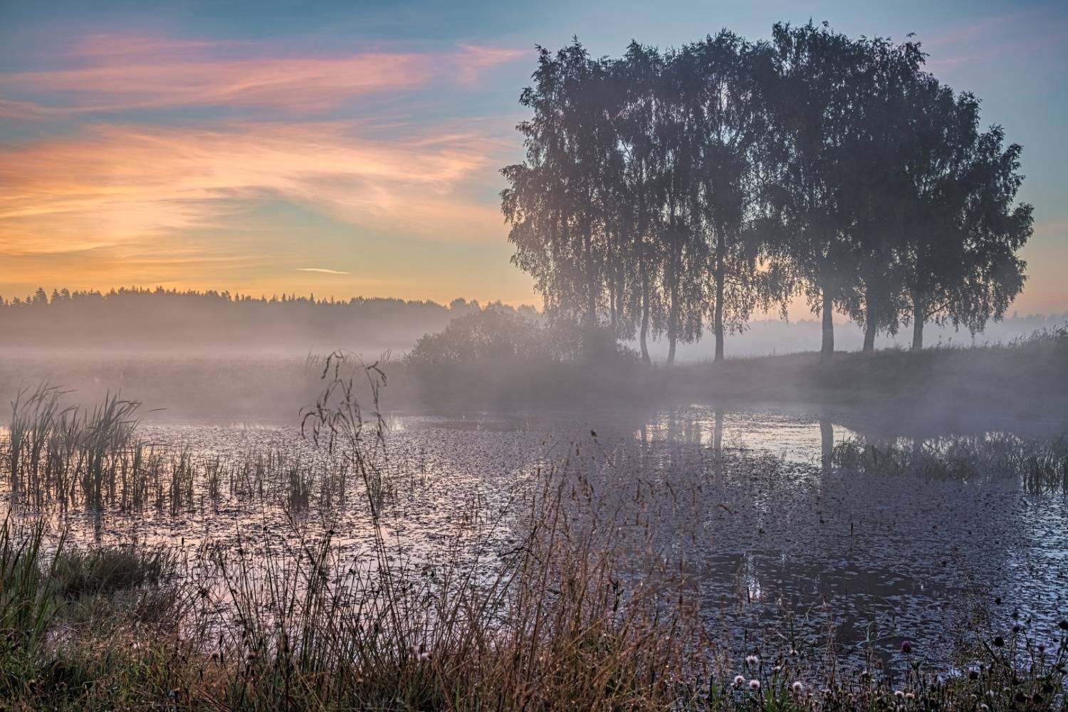 , Евгений Ерохин