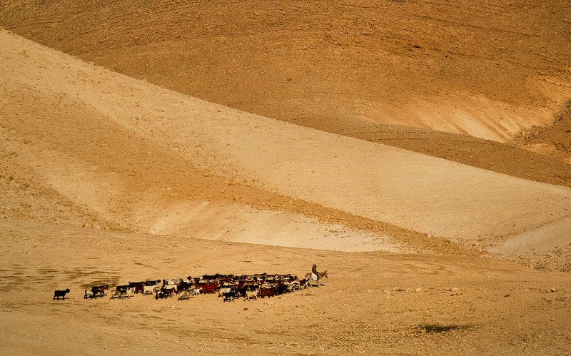 Samaria-Shomron,Israel фото превью