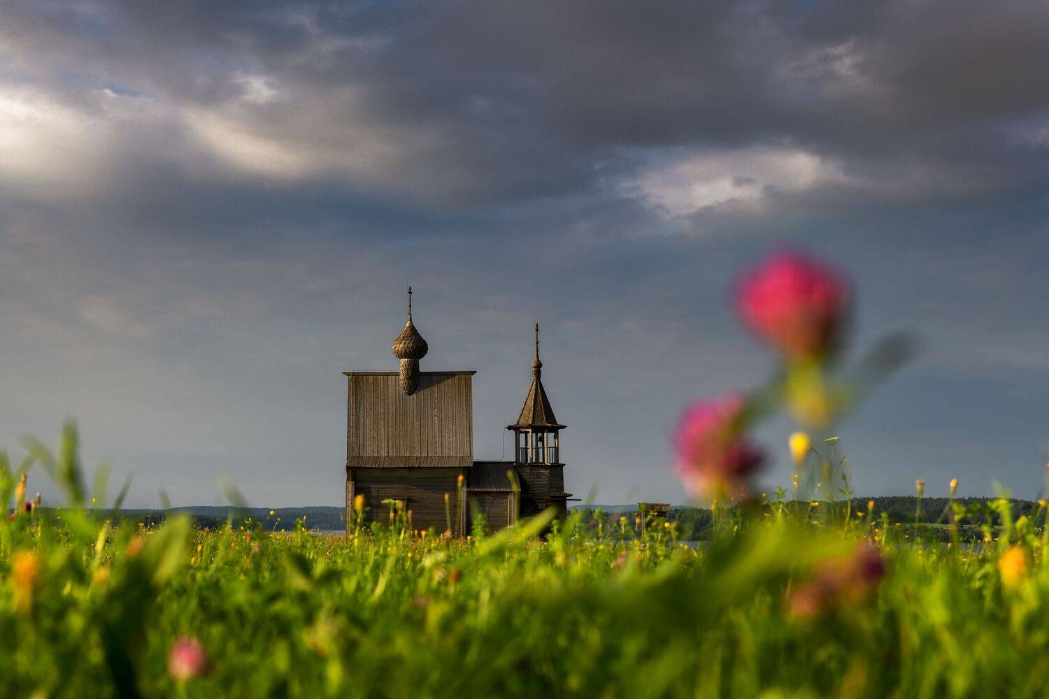 Вершинино, Максим Евдокимов