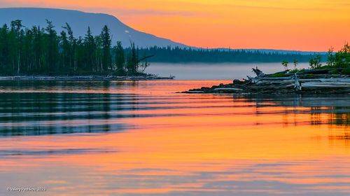 Pro остров и его обитателей