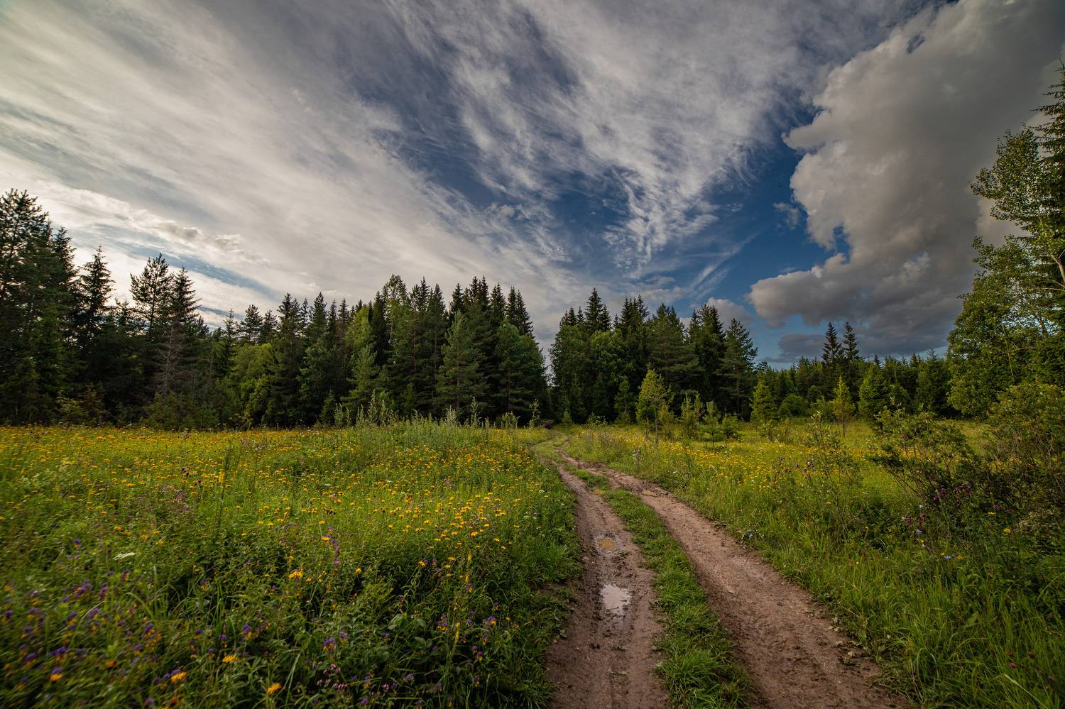 , Герасимова Елена