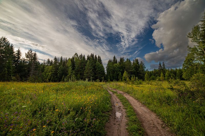 По лесным дорожкам… фото превью