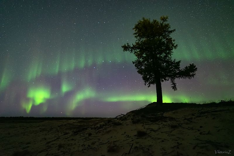 северное сияние, полярное сияние, заполярье, aurora borealis, polar lights  фото превью