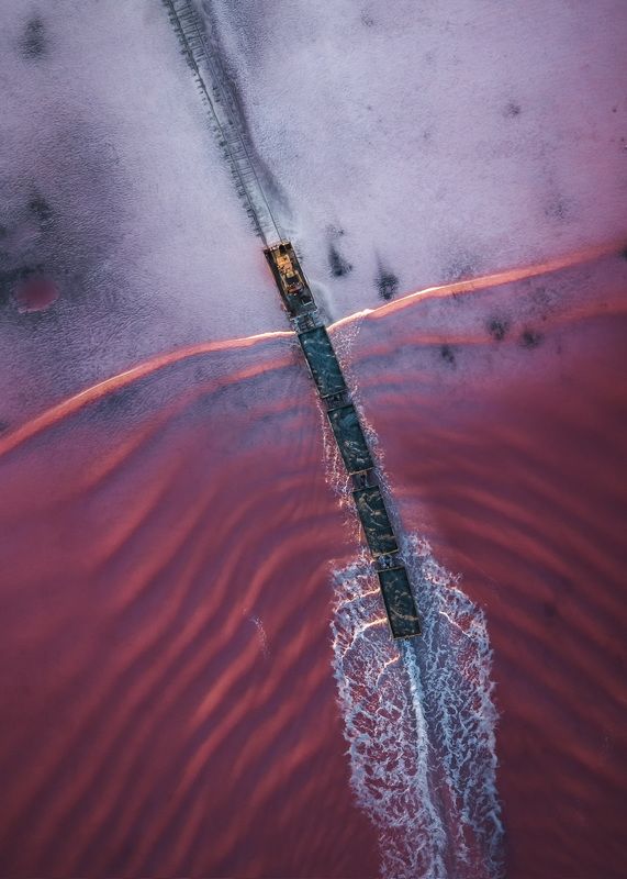 Солевоз (сороконожка)…  Salt delivery (centipede)… фото превью